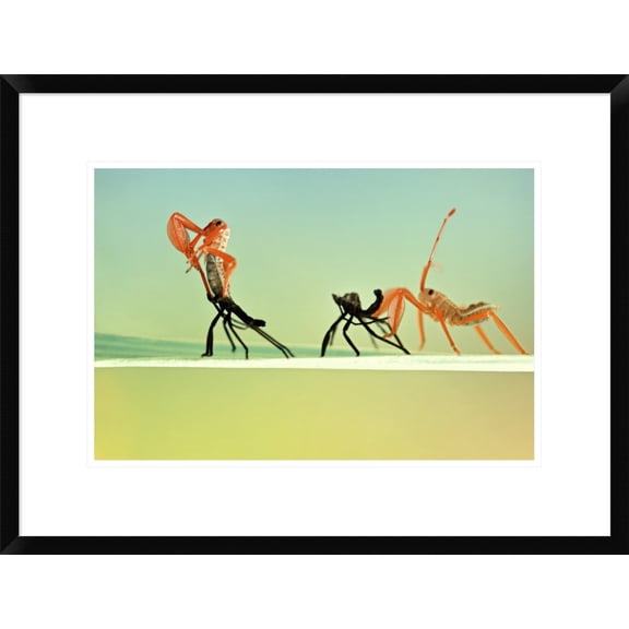 Global Gallery Donald Jusa 'Re-Born' Framed Wall Art