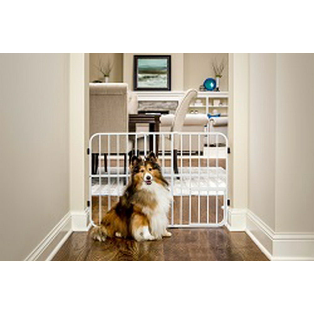 Carlson Pet Products Expandable Metal Dog Gate, White, 38"L x 2"W x 24