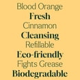 thumbnail image 4 of Plant Therapy Home Germ Fighter Blend Multi-Surface Cleaner Concentrate 30 mL (2-Pack), 4 of 9
