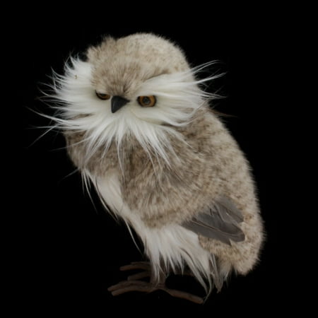 Grey Feather Owl