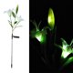 thumbnail image 4 of Luces LED vibrantes para jardín para caminos de villas, patios y decoración de césped, flores de lirio solares a prueba de agua, 4 of 8