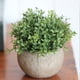 thumbnail image 3 of Mini plantas artificiales decorativas de plástico en maceta para decoración del hogar y el jardín., 3 of 7