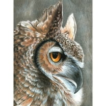 Color Pencil By Number Kit 8.75"X11.75"-Sepia Owl