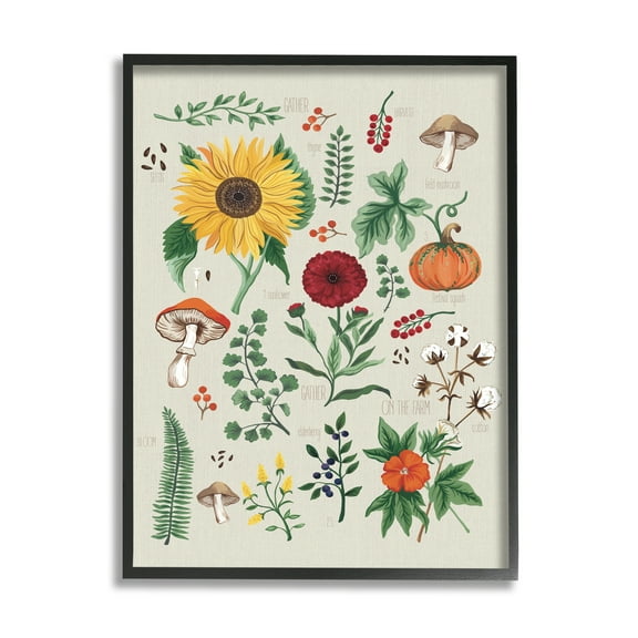 Stupell Industries Botanical & Seeds Study Botanical & Floral Painting Black Framed Art Print Wall Art, 11 x 14