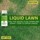 thumbnail image 5 of 3pcs Plant Fertilizer Liquid Efficient Turf Nutrient Solution Grassland Nutrient Solution, 5 of 5