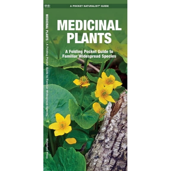 Outdoor Skills and Preparedness: Medicinal Plants : A Folding Pocket Guide to Familiar Widespread Species (Other)