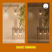 Wiz String Lights 48ft