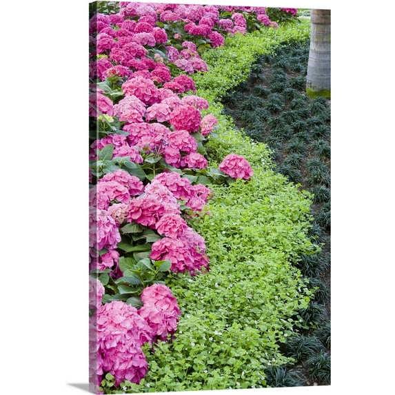 Great BIG Canvas | "A boder of spring flowers, including hydrangea blooms" Canvas Wall Art - 16x24