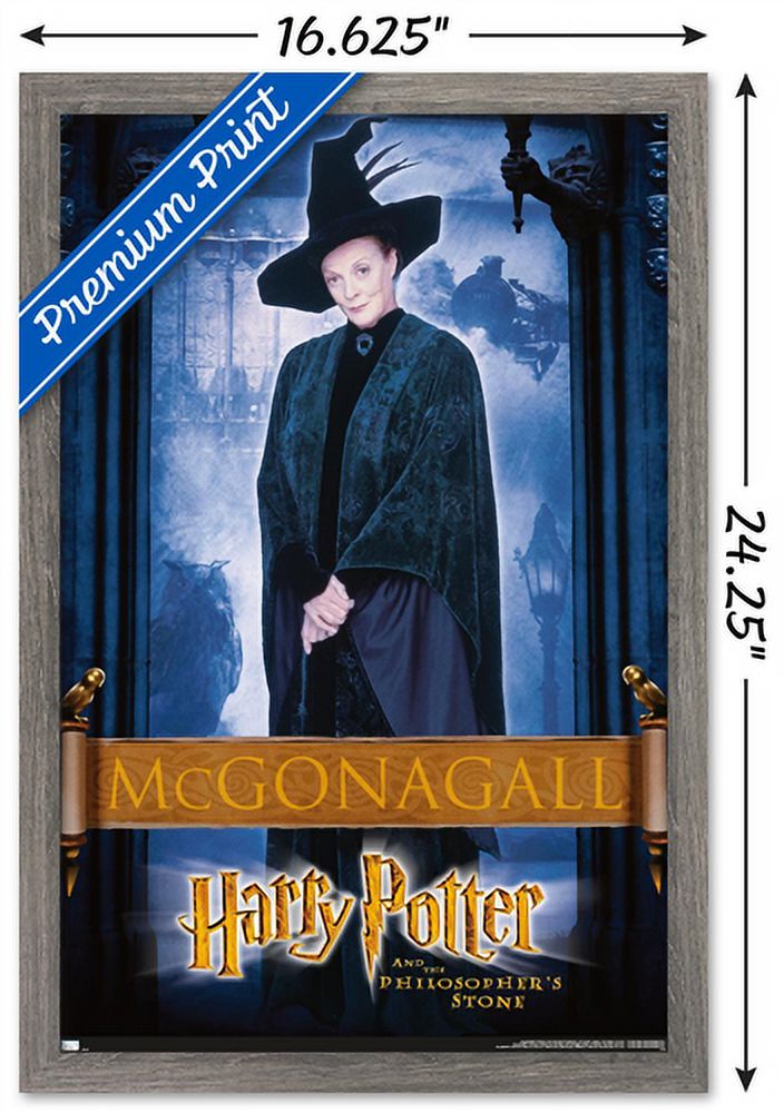 Harry Potter and the Philosopher's Stone - McGonagall Wall Poster, 14.725" x 22.375", Framed