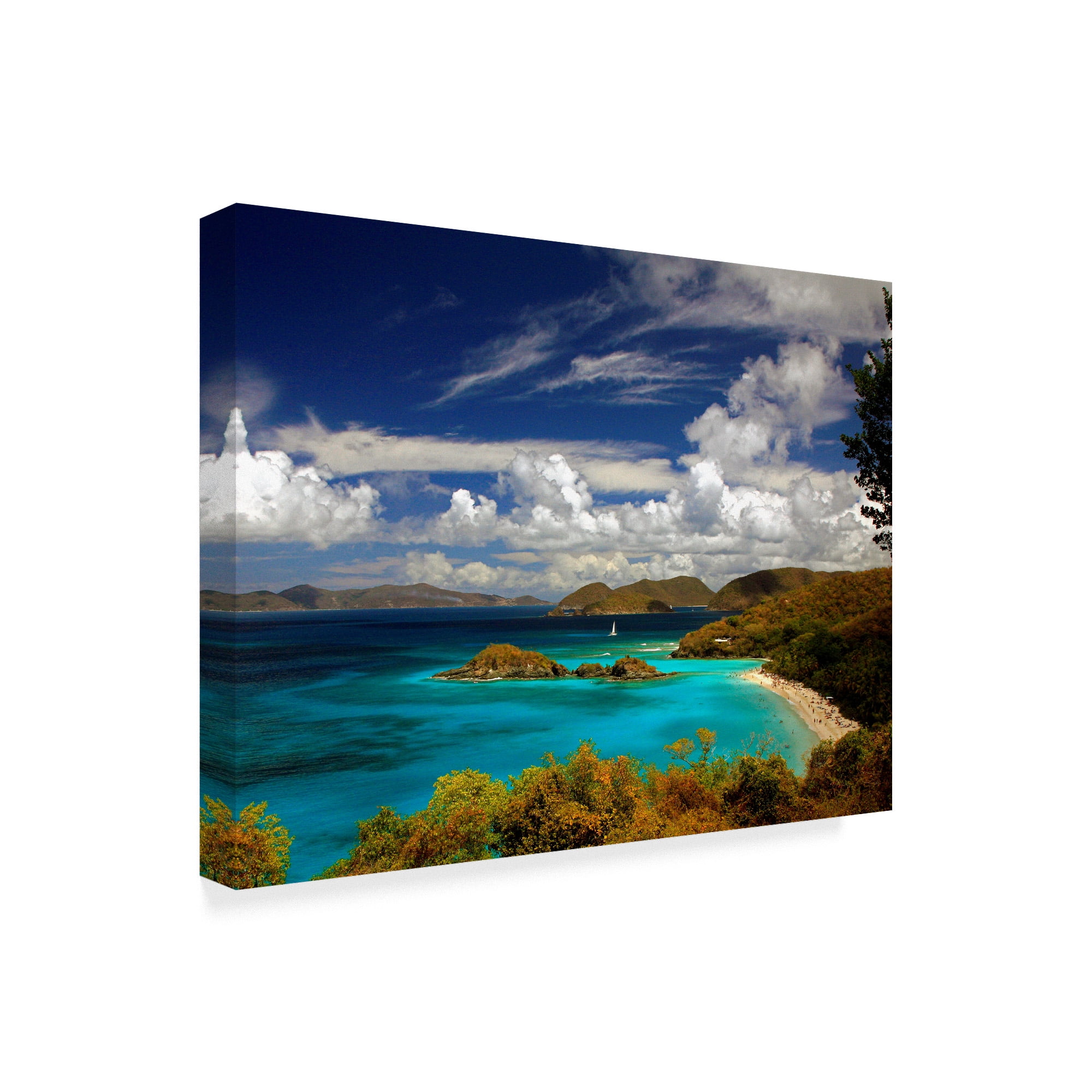 Trademark Fine Art 'Trunk Bay' Canvas Art by J.D. Mcfarlan