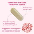 thumbnail image 4 of Vitamin Bounty women's pro-daily probiotic, Probiotic for women, 60 count, 4 of 8