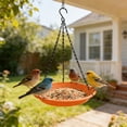 thumbnail image 6 of NWOKYZGH Hanging Bird Feeder & Bath for Outdoors, Wild Bird Feeders Tray, Hanging Birdfeeder Birdbath for Outside, Cardinal, Blue Jay, Crow, Birdfeeders Trays, 6 of 6