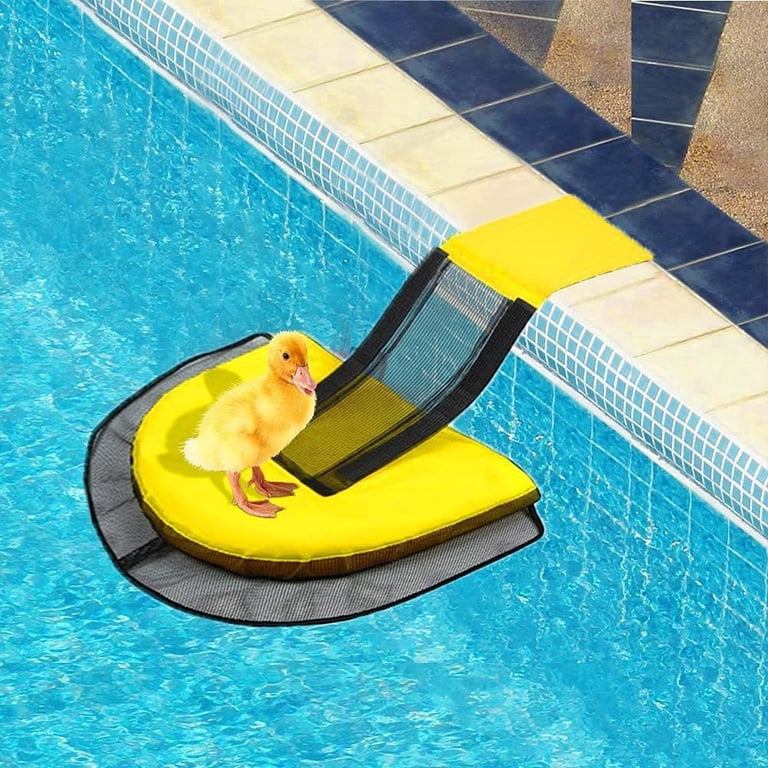 Swimming Pool Accessories Pool Pad Pool Animal Escape Ramp - Floating ...