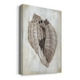 thumbnail image 2 of Ocean Cone II Premium Gallery Wrapped Canvas - Ready to Hang, 2 of 9