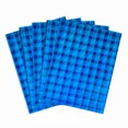 thumbnail image 1 of Porte-cartes Holographique, 1 of 1