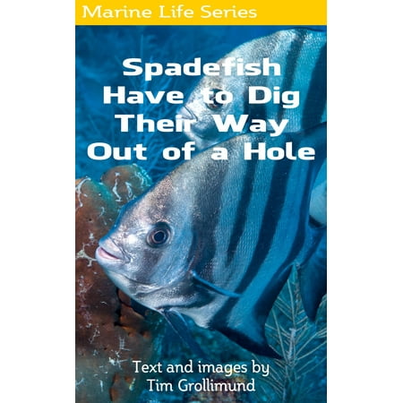 Spadefish Have to Dig Their Way Out of a Hole - (Best Way To Dig Post Holes In Rocky Ground)