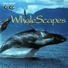 Whalescapes