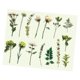 thumbnail image 3 of 30Pcs Vintage Plants Flowers Leaves Stickers Vintage Retro Flower Plant Stickers Decals for Laptop Scrapbooking Journal Planner Card Making Amidst The Mountain Mist, 3 of 5