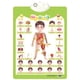 thumbnail image 1 of Juguete para piscina, juguete para bebés, juguete para niños pequeños. Lámina interactiva parlante para aprender inglés. Requiere 3 pilas AA (no incluidas). Póster con audio., 1 of 6