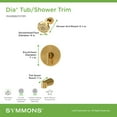 thumbnail image 7 of Symmons 3592BBBZ15TRM Dia Hydromersion Tub And Shower Trim Package - Bronze, 7 of 7