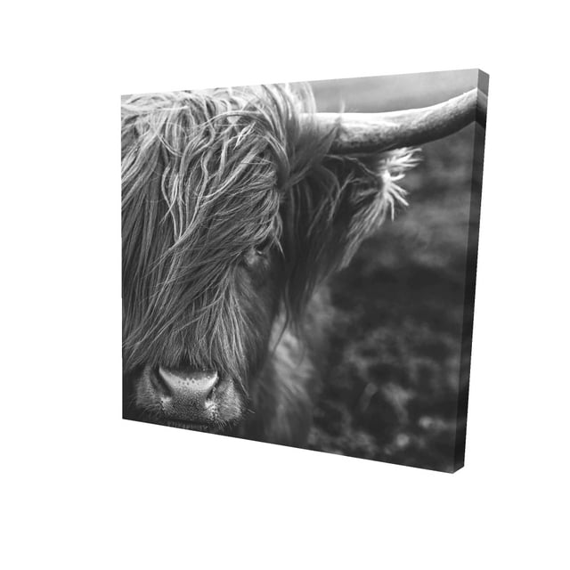 portrait Monochrome Vache des Highlands - Toile 36"x36 Pouces - Impression sur Demande