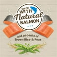 thumbnail image 3 of Purina Friskies Ocean Favorites, Indoor Dry Cat Food, Salmon & Rice, 3.15 lb Bag, 3 of 11