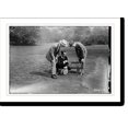 thumbnail image 2 of Historic Framed Print, All Stars - 4, 17-7/8" x 21-7/8", 2 of 9