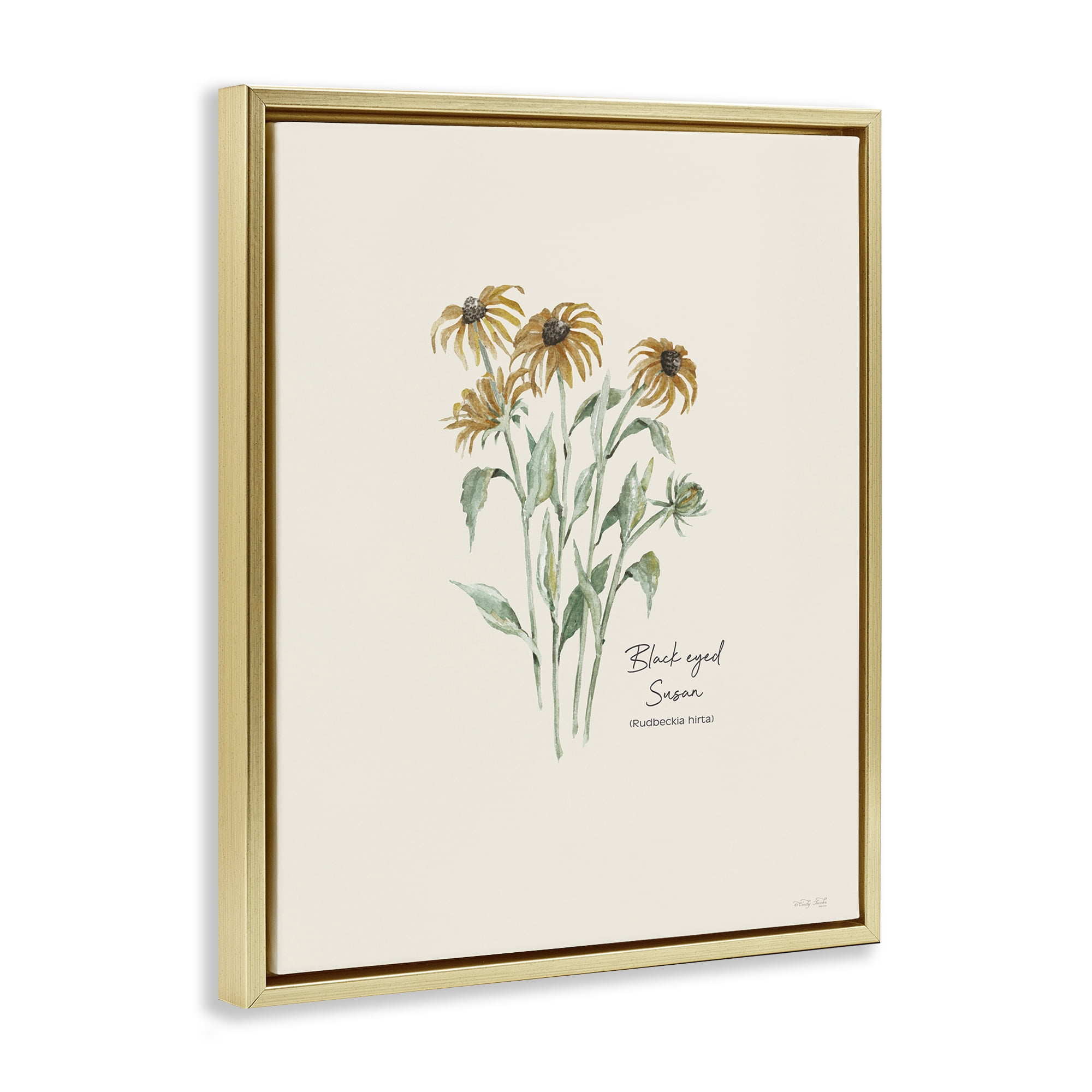 Stupell Industries Black Eyed Susans Botanical & Floral Painting Gold Floater Framed Art Print Wall Art, 25 x 31