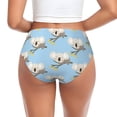 thumbnail image 3 of Womens Underwear - Cute Sleeping Koala Blue No Show Seamless Underwear for Women, Stretch Women's Panties, Hipster Soft Comfort Ladies Panties Bikini Underwear Briefs, 3 of 6