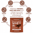 thumbnail image 4 of Designer Wellness, Designer Whey, Natural 100% Whey Protein Powder with Probiotics, Fiber, and Key B-Vitamins for Energy, Gluten-free, Non-GMO, Gourmet Chocolate, 2 lb, 4 of 7
