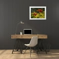thumbnail image 3 of Bonin, Suzanne 32x25 White Modern Wood Framed Museum Art Print Titled - Red Yellow Tulips, 3 of 4