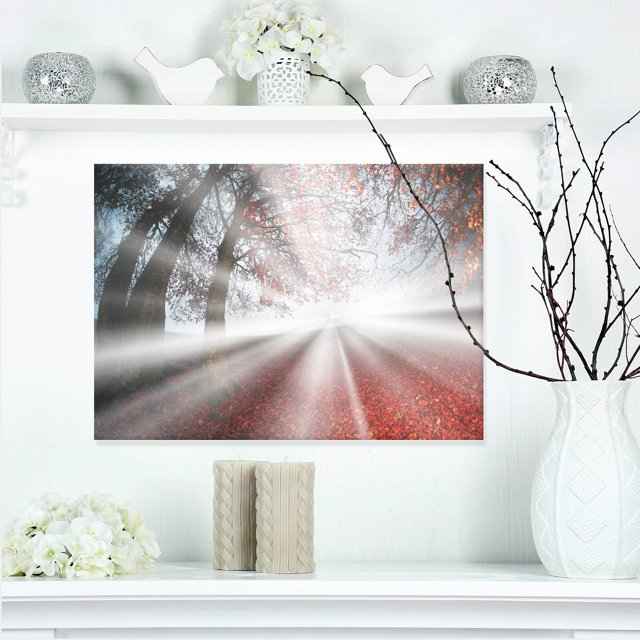 Rayons de Soleil Argentés à Forêt Brumeuse - Photo de Paysage Impression sur Toile