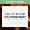 thumbnail image 3 of Shampoo Alfaparf Energizing Low 1000ml Semi Di Lino, 3 of 8