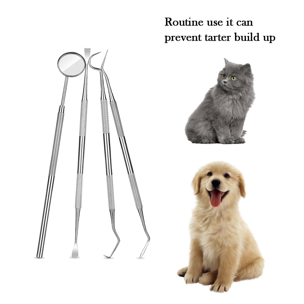 4 Pcs Dog Dental Tooth Scaler and Scraper Stainless Double Headed
