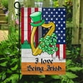 thumbnail image 1 of FLAGWIX US Flag - Irish Flag, I Love Being Irish, Irish Harp, St. Patrick's Day, Ireland American Flag QNV21F - Garden Flag (11.5" x 17.5"), 1 of 3