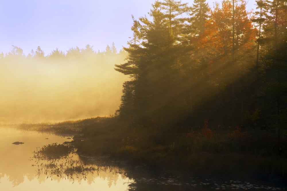 Mist At Sunrise Sol
