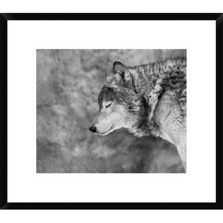 Global Gallery Victoria Ivanova 'Let It Snow' Framed Wall Art