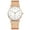 C, variant on Fashion Dial Luminous Women's Watch