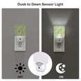 thumbnail image 3 of Naloa Lemon Night Lights Plug into Wall, Dusk to Dawn Sensor Warm White Led Night Light 0.5W, Nightlight suit for Adults, Bedroom, Bathroom, Hallway, Kitchen, 3 of 5