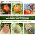 thumbnail image 7 of Threns 150 Pcs Fruit Protection Bags Fruit Netting Bags Garden Netting Pest Barrier Bags for Fruit Trees,3 Sizes, 7 of 7