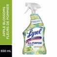 thumbnail image 1 of Lysol All Purpose Cleaner, Multi-surface cleaner trigger, Green Apple, Powerful Cleaning & Freshening, 650 mL, 1 of 5