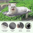 thumbnail image 5 of Cat Window Perch for Small Window,Cordless Cat Window Hammock,Cats Seat for Windowsill,Foldable Cat's Windows Bed for Large Cats with Suction Visualization Pwerful Suction Cups, 5 of 7