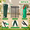 Green, variant on Black 36 Piece Heavy Duty Tree Stake Kit With Straps And Rope For Garden Support