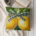 thumbnail image 3 of YINGXI  Lemon Summer Decoration, Garden Flag and Throw Pillow Covers 20x20in, 3 of 5