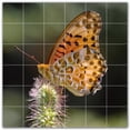 thumbnail image 1 of Picture-Tiles.com: Butterfly Ceramic Tile Wall Mural WAL500305-66S. 25.5"W x 25.5"H using (36) 4.25" x 4.25" Ceramic Tiles-Satin Finish, 1 of 3