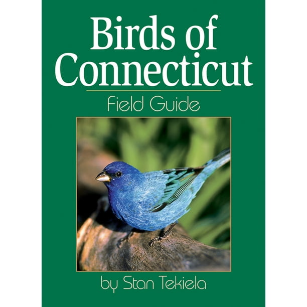 Bird Identification Guides: Birds of Connecticut Field Guide (Paperback ...