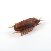 Dog-Cat Interactive Electronic Cockroach Intelligence Activity Pet I8P8 N9W0