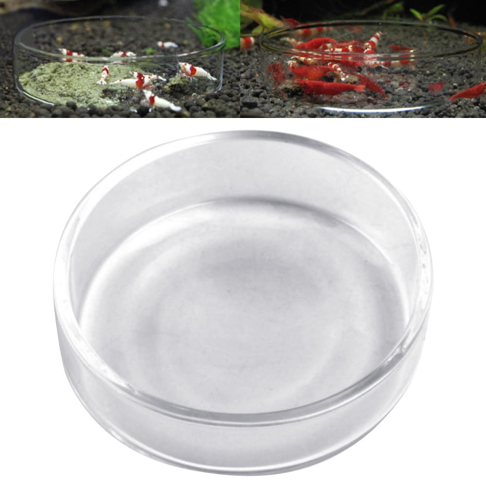 Glass Shrimp and Snails Feeding Dish for Aquarium Shrimp Tank Crystal Red Cherry 
