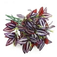 thumbnail image 1 of 1 Artificial plants Artificial flowers Artificial grass greening plants, 1 of 6