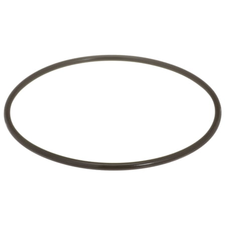 Delphi Fuel Pump Tank Seal